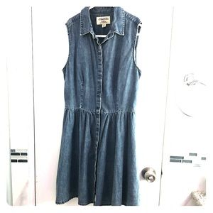 Vintage Denim Dress